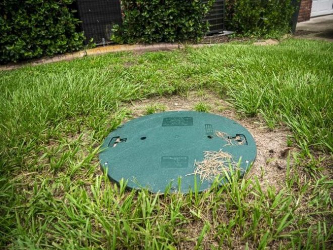 Tree Roots and Septic Tanks — What Homeowners Need to Know