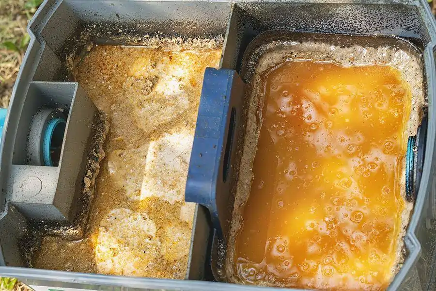 Grease Trap Cleaning in Chuluota, FL